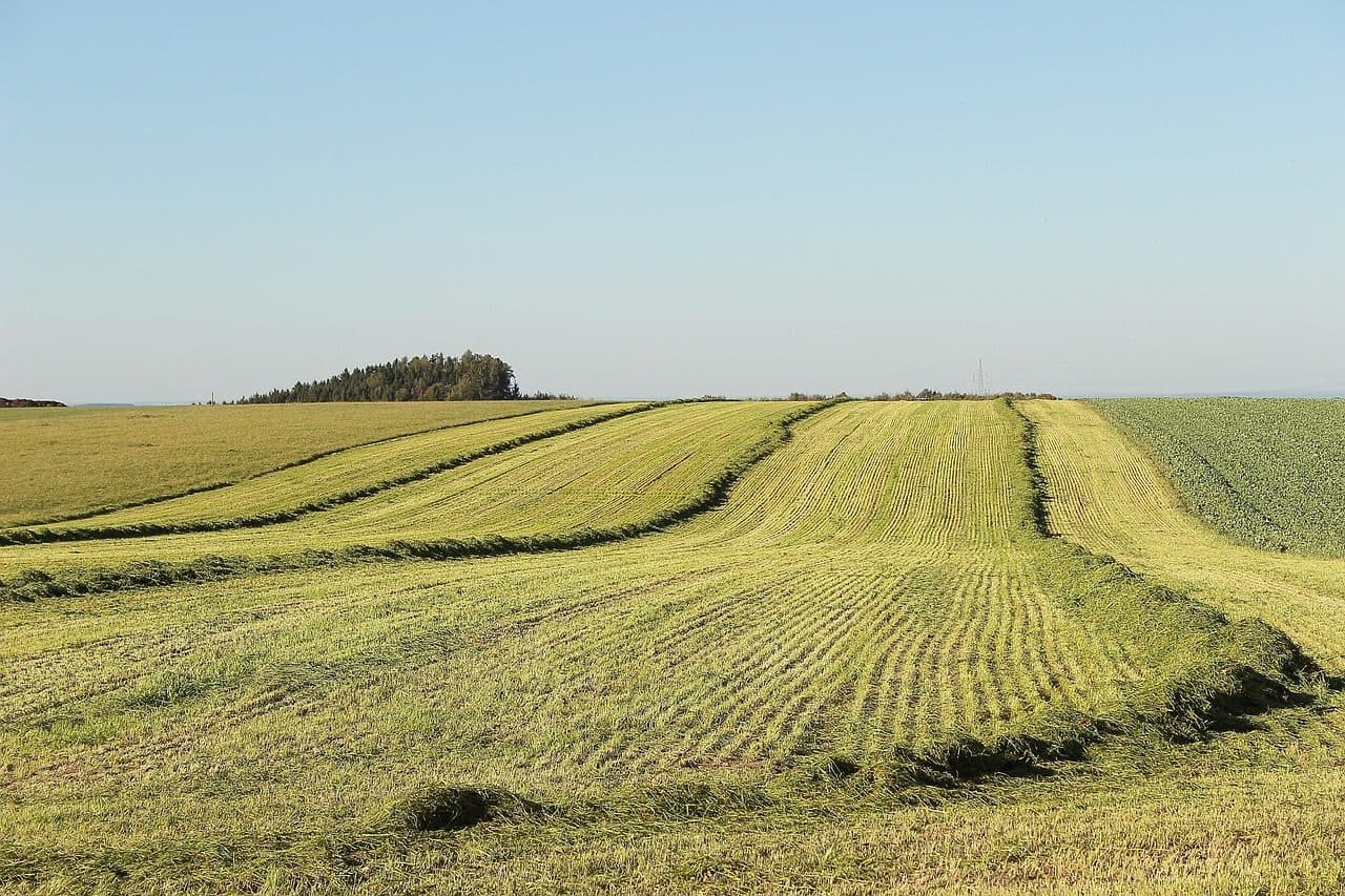 Terreno em Santa Felicidade